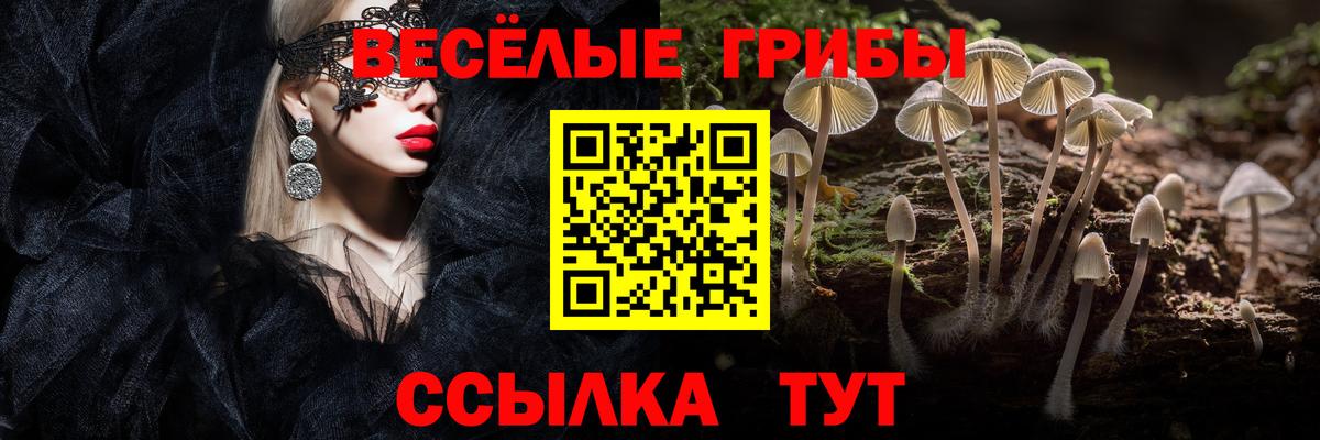 Галлюциногенные грибы прущие грибы  Вход с VPN  купить наркотик  Псков  Галлюциногенные грибы MAGIC MUSHROOMS 